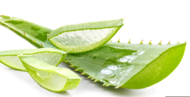 Гель алое вера